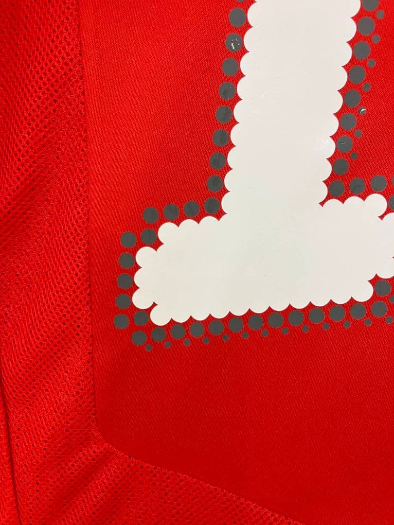 08-09 チェコ代表　ロシツキー　PUMAオフィシャルユニフォーム