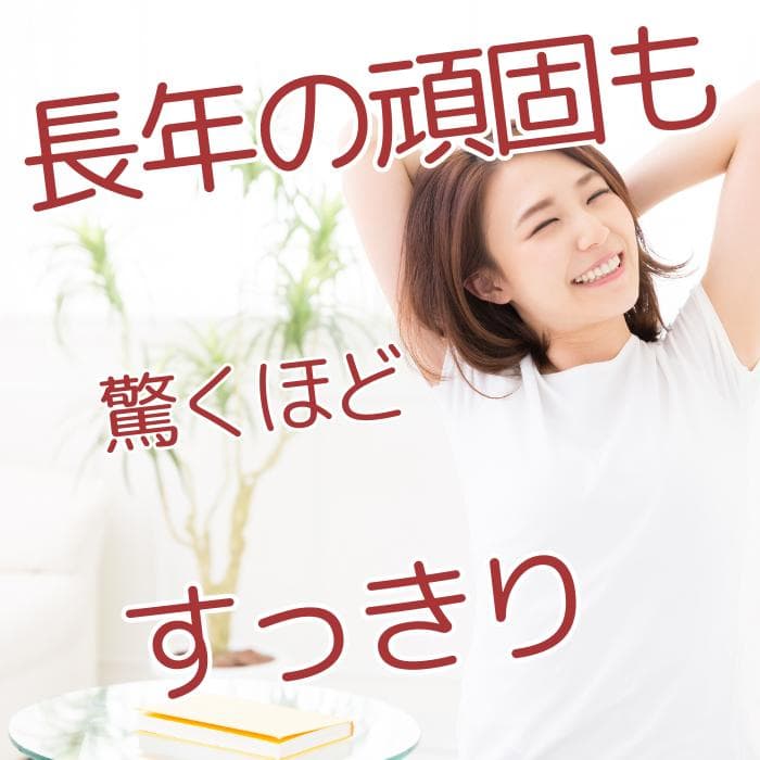 【10袋】七茶葉の恵み ダイエット茶 ダイエットティー 健康茶　便秘お茶