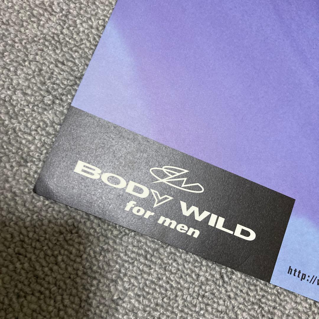 井川遥　BODY WILD FIT BOXER ポスター　美品　グンゼ　青　２