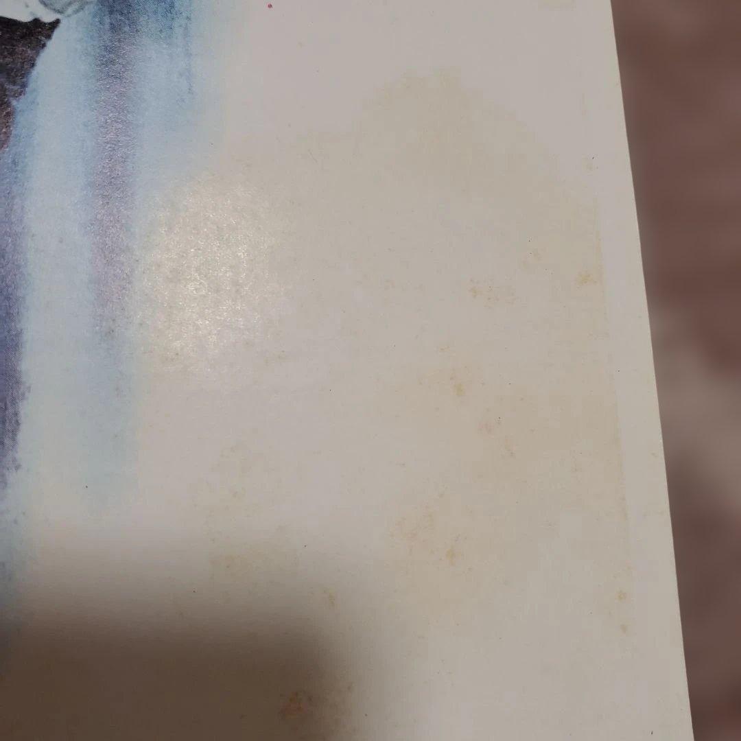 【良品】燃えよドラゴン他 全5枚 B2ポスター