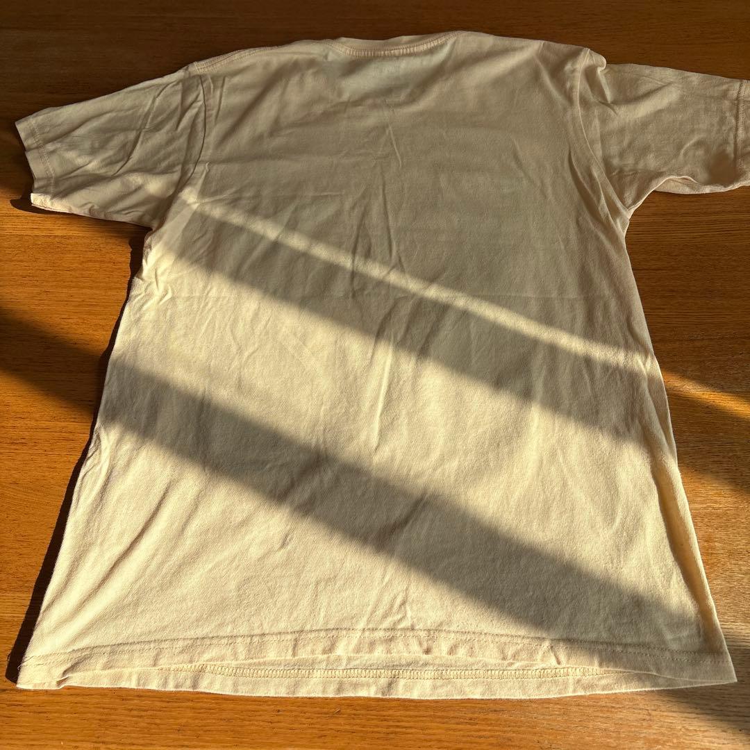 ミュージシャン Todd Rundgren Individualist World Tour