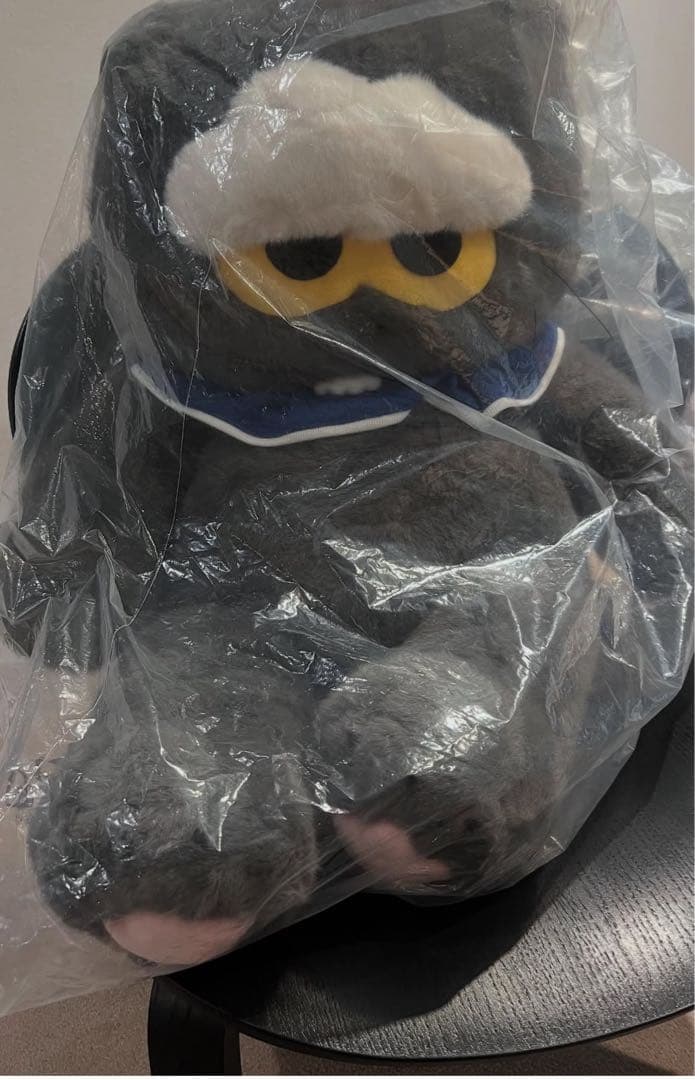 アイドル ZO&FRIENDS Big ZOA