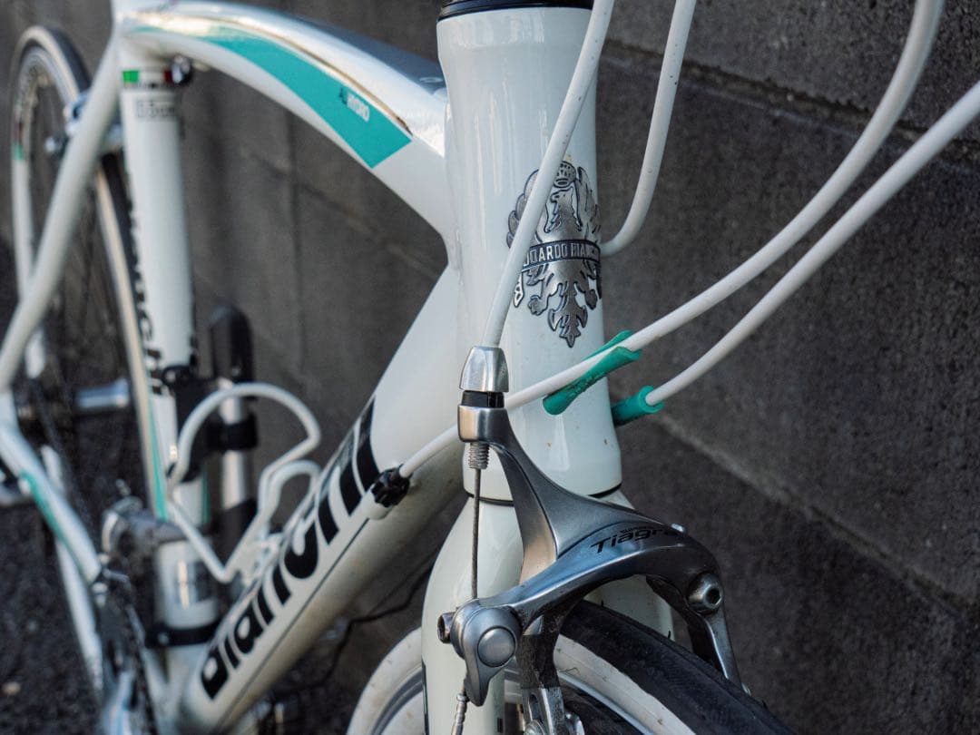 Bianchi VIA NIRONE7 2012年モデル