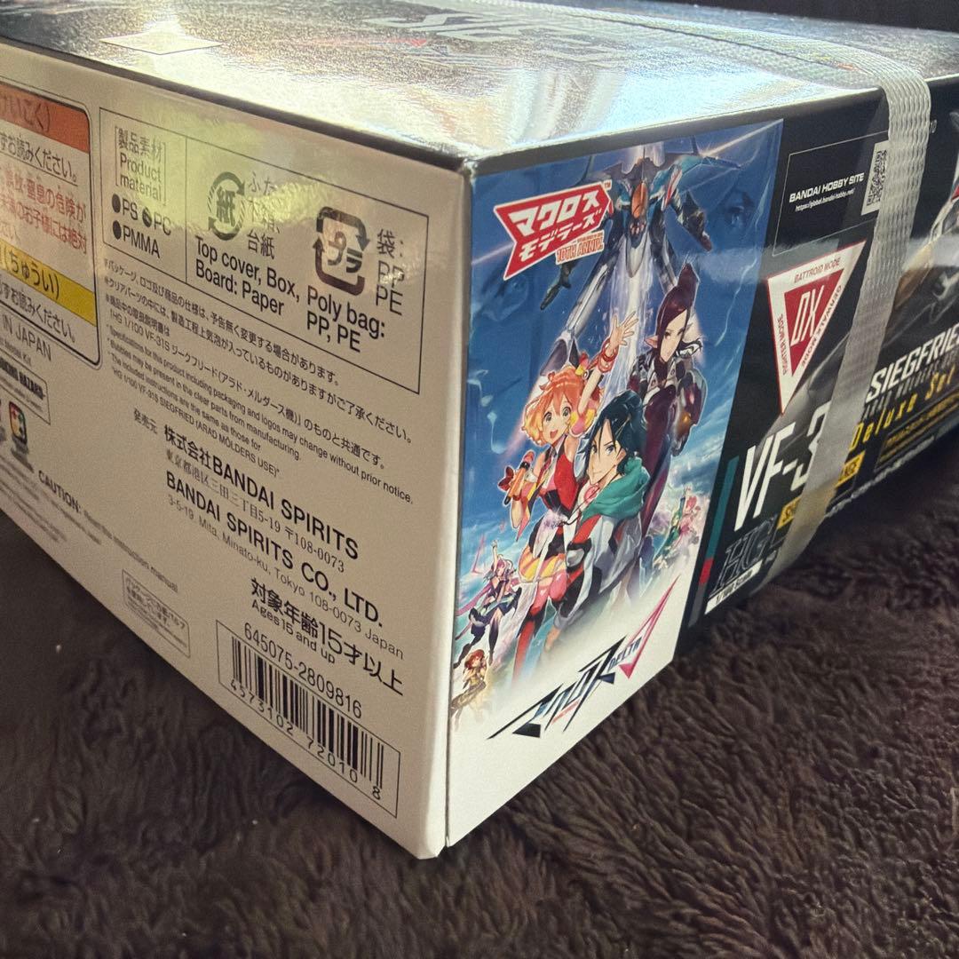 マクロス　HG VF-31S ジークフリード （アラド・メルダース機）ＤＸセット