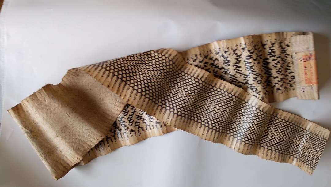 財を築き幸運を呼ぶ 蛇皮 財ヘビ 革 原皮 天然皮革 金運 招福 厄除け 風水