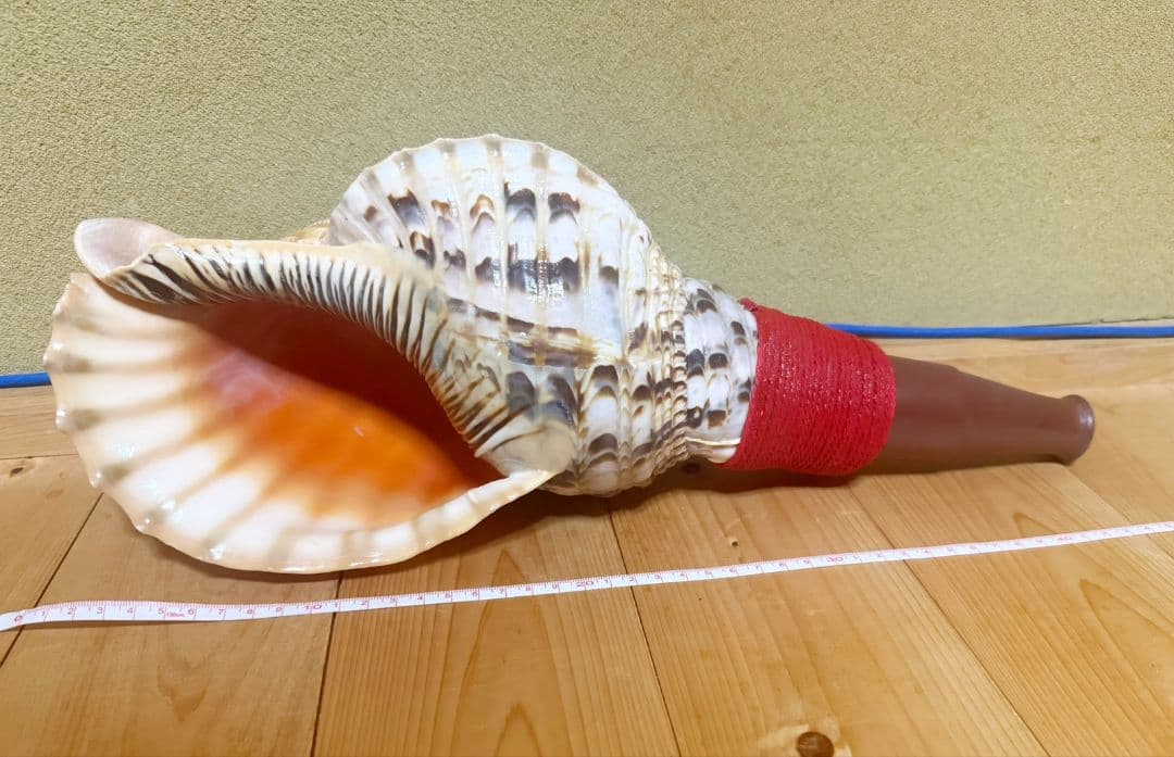 綺麗な最大級の修験道法螺貝44㎝山伏 ホラガイほら貝 熊よけ