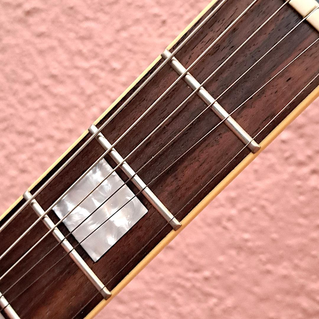 ■Bacchus MARQUIS STD A-BR バッカス マーキス