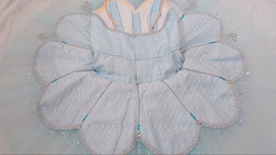 【フロリナ、シルヴィア】 チャコット・バレエ衣裳 袖飾り付き・美品 ６号サイズ