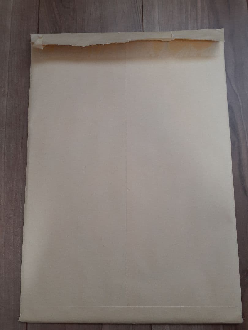 ✔️非売品 ONEPIECE 複製原画 ビブルの秘宝② エース