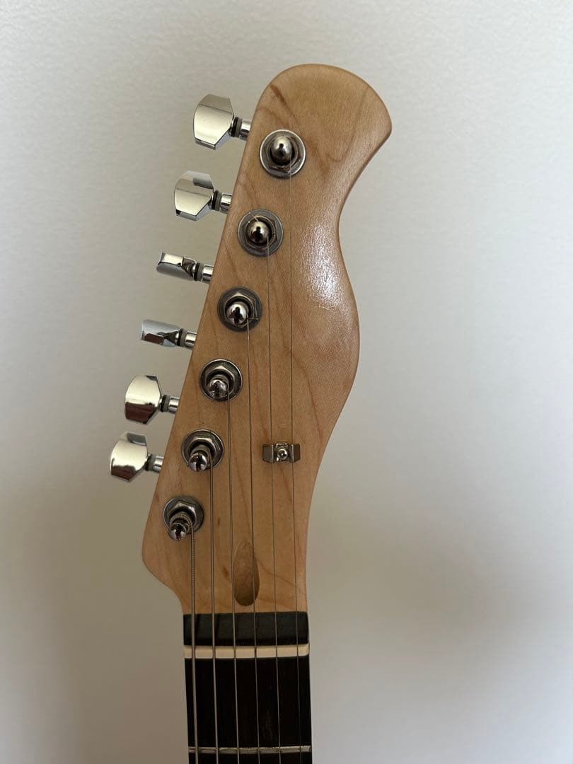 テレキャスタータイプ エレキギター　Bucchus btc-1r 3ts