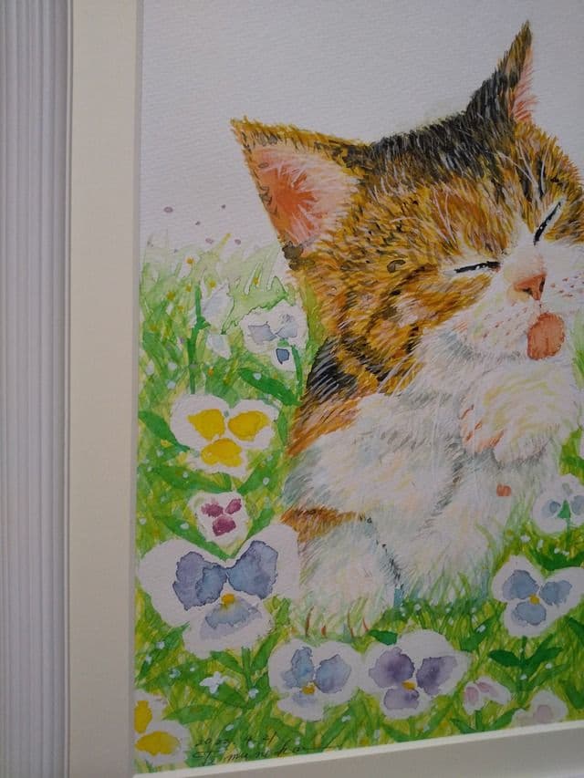 アサちゃんの毛づくろい