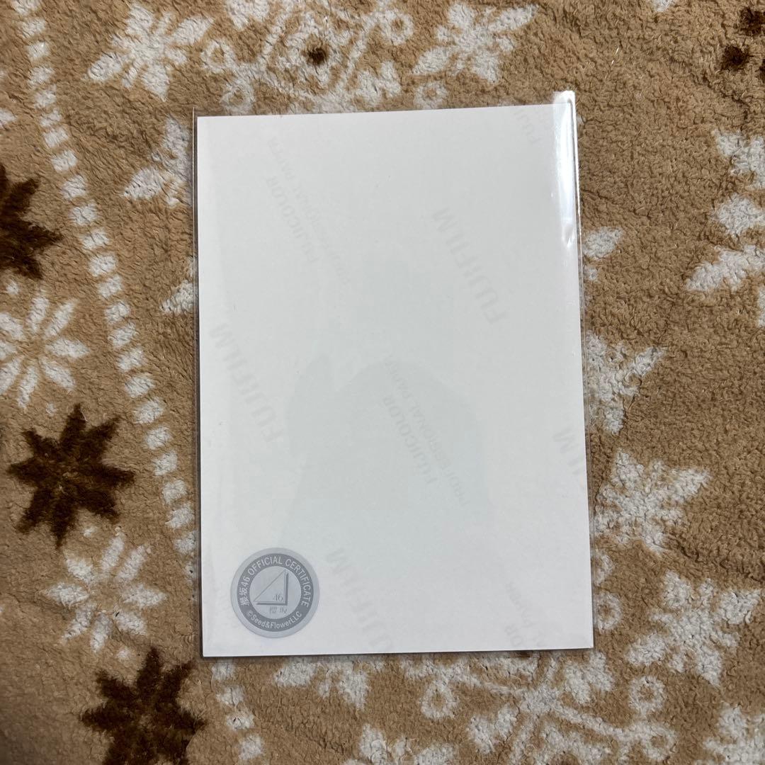 （即決なら少額の値下げOK）的野美青 サンタ衣装直筆サイン入り　生写真