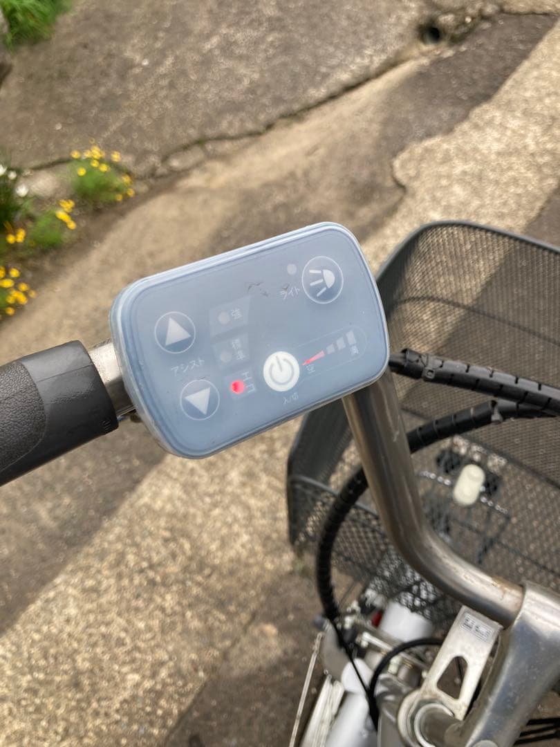 自転車本体 hananowa