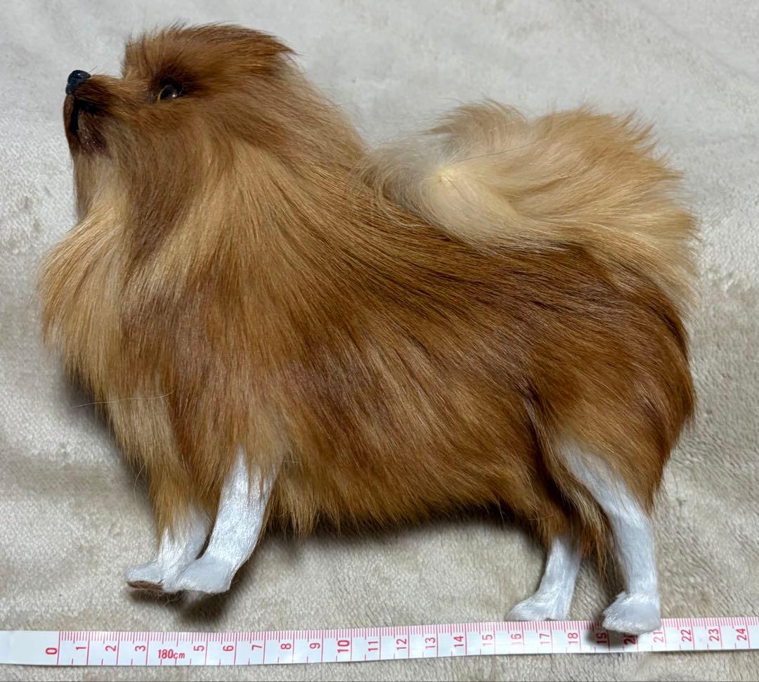 犬　ポメラニアン　リアル　置物