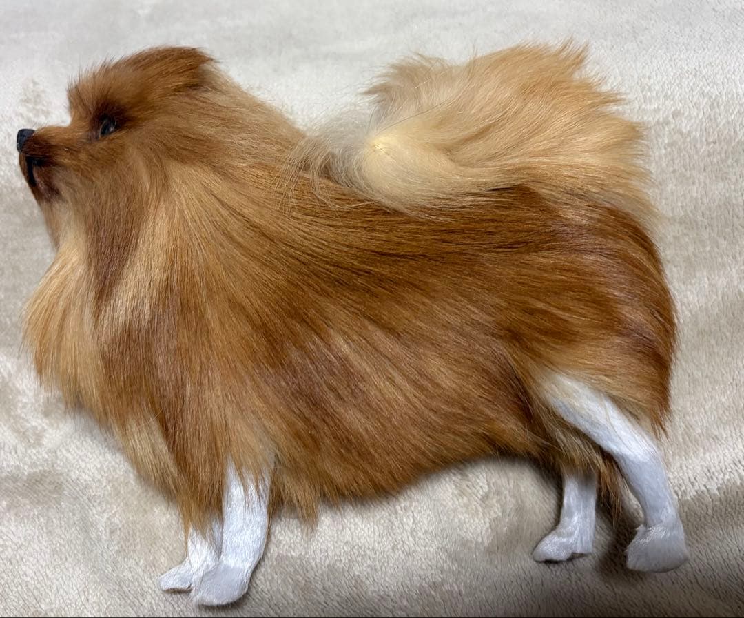 犬　ポメラニアン　リアル　置物