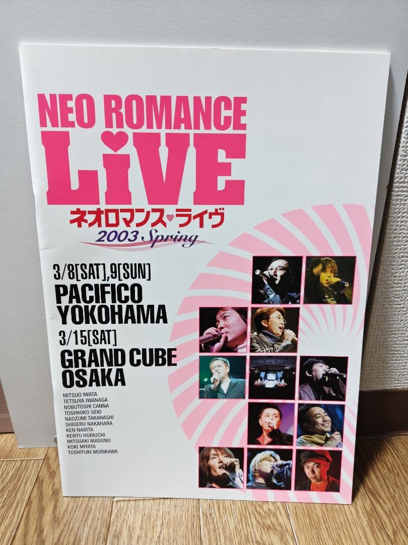 ネオロマンスフェスタ　パンフレット＆DVDBOX