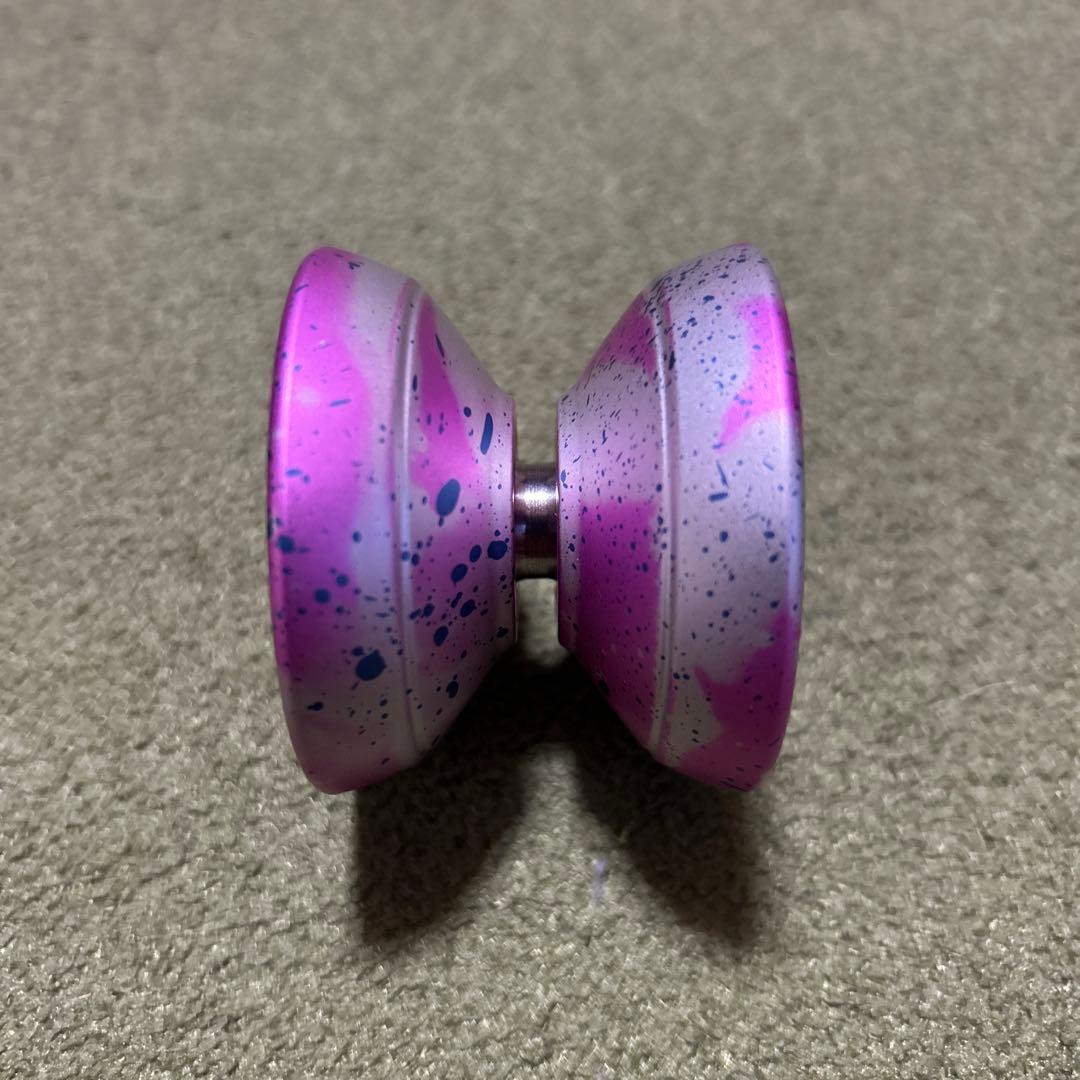 アークティックサークル1① カリブ