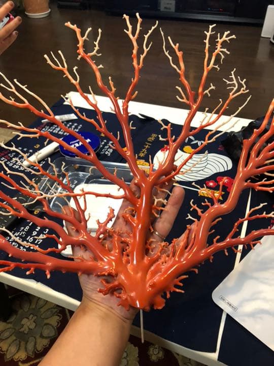 珊瑚　原木　置物