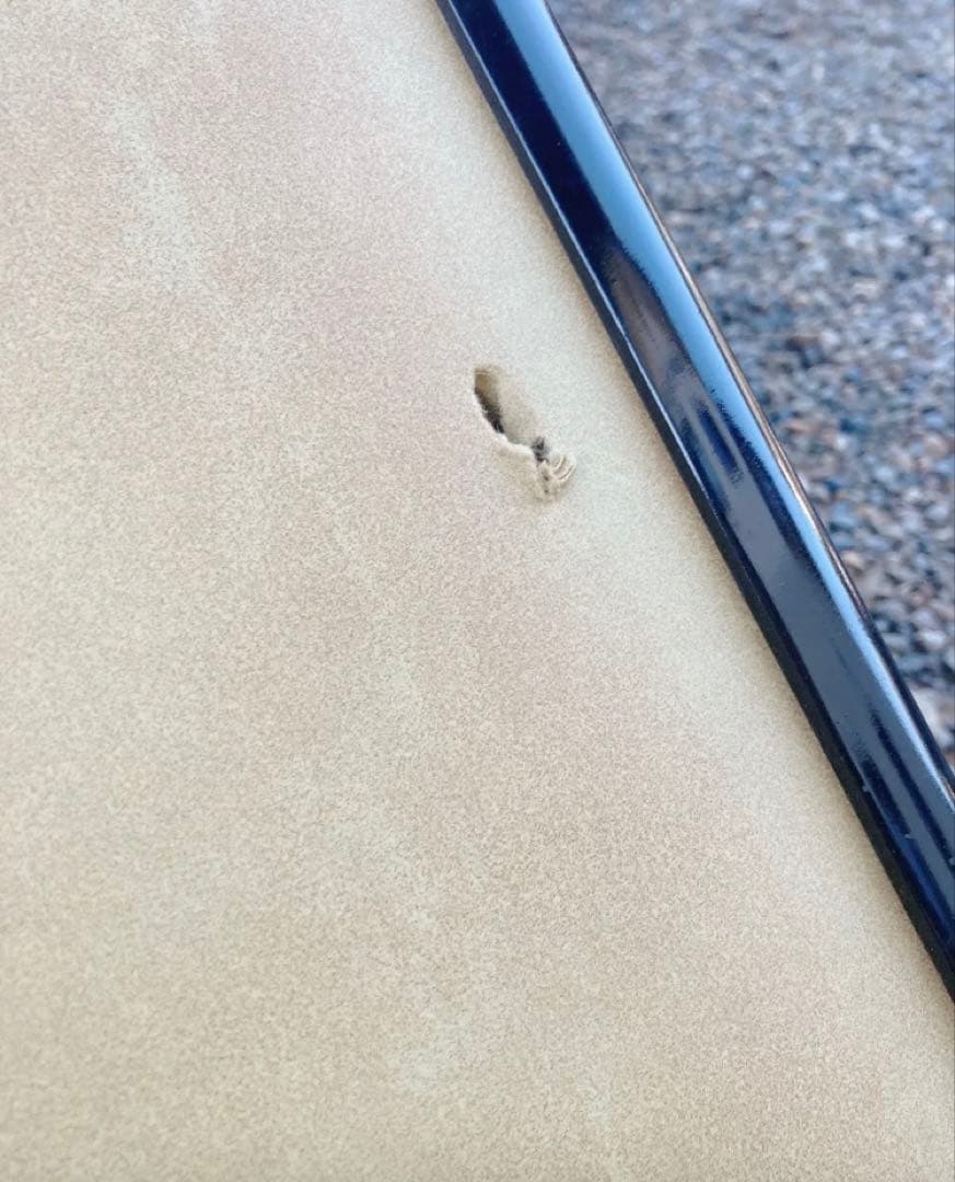 インテリア　美術品　デッサン　書　デッサン画