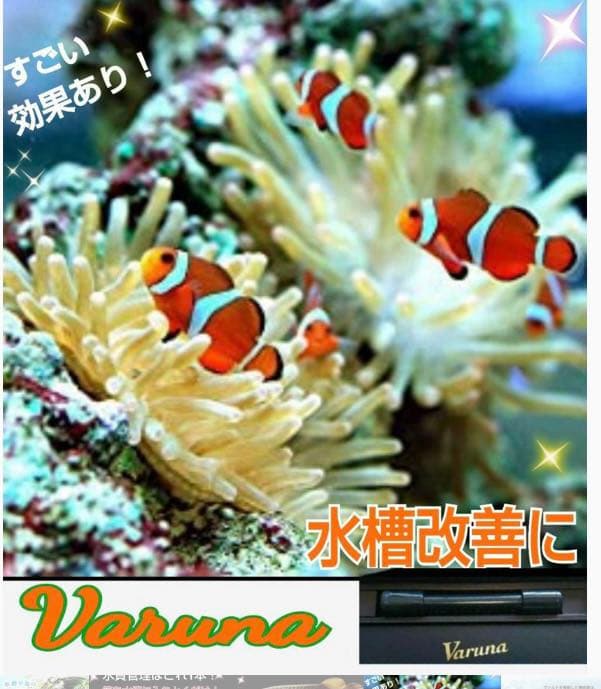 水槽の水が綺麗になります【ヴァルナミニ】有害物質を強力抑制し透明度が抜群に！