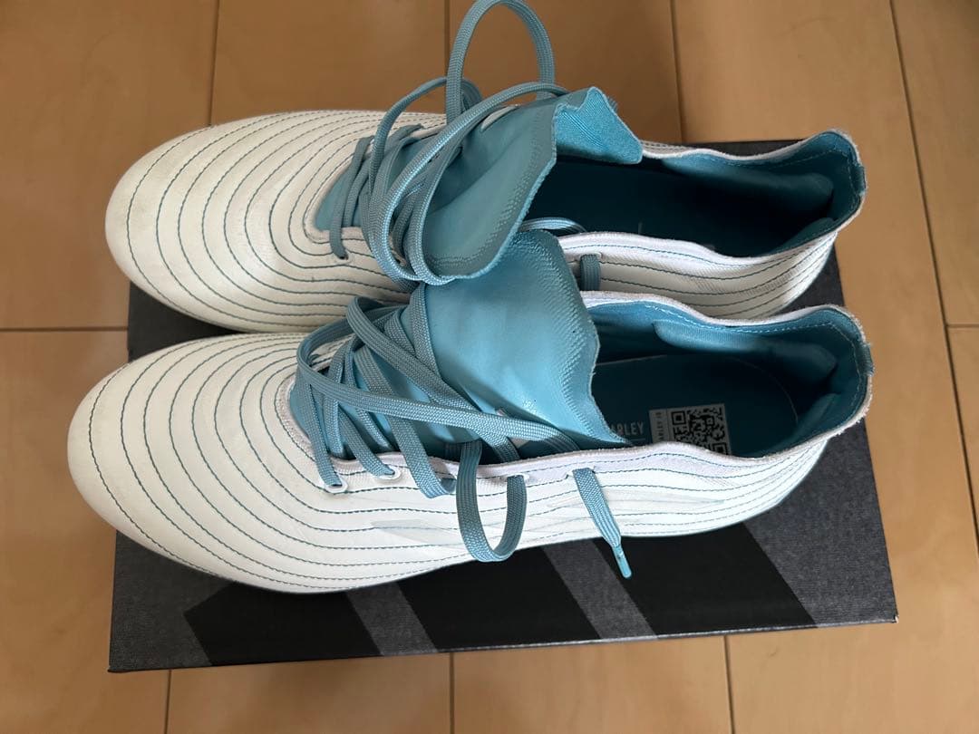 コパピュア.1 FG COPA PURE.1