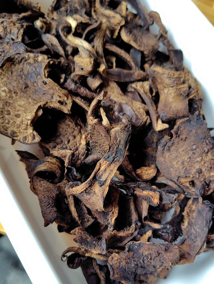 香茸 乾燥100g コウタケ 信州 国産　天然キノコ　フォローアドバイスつき