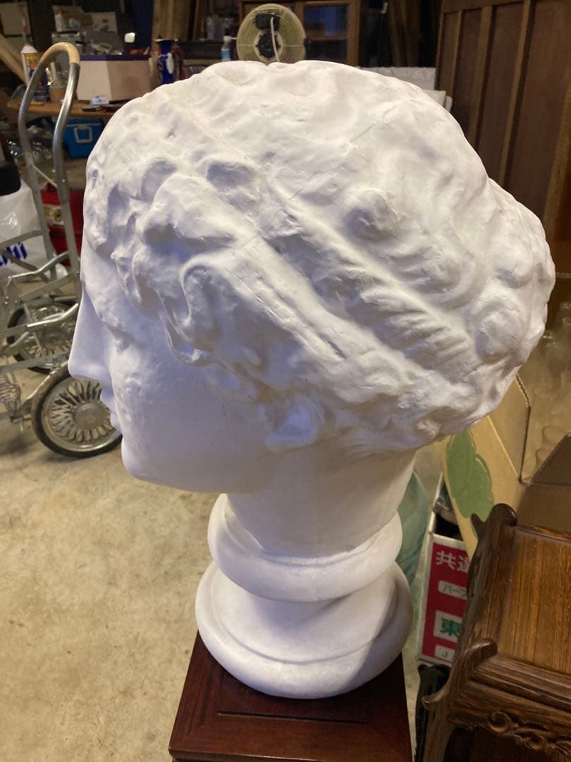 パルテノン ラボルトの胸像　石膏像