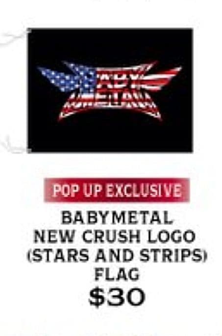 新品未開封 INTUIT DOME限定 FLAG フラッグ BABYL