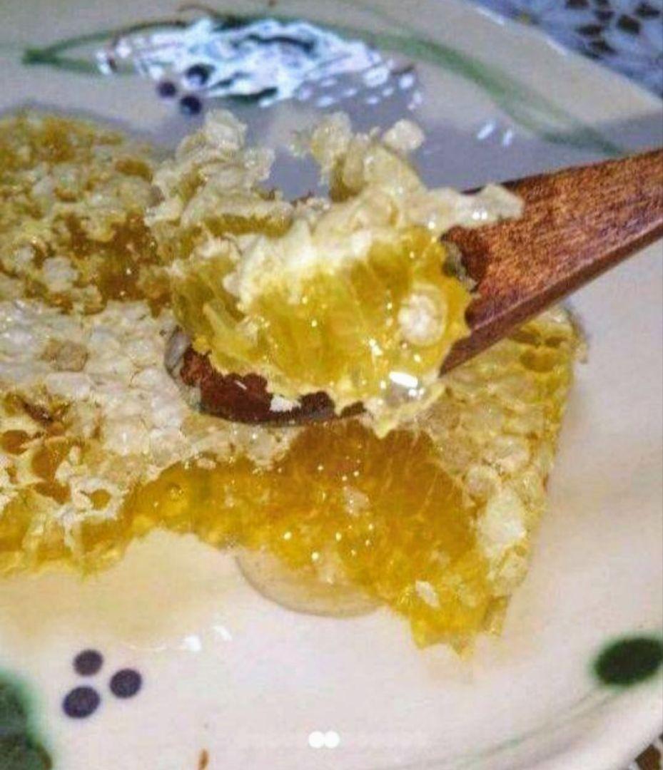 日本蜜蜂採りたて生蜂蜜(生巣蜜)368g＋蜂蜜600g×2本#6　　　　宮城県産