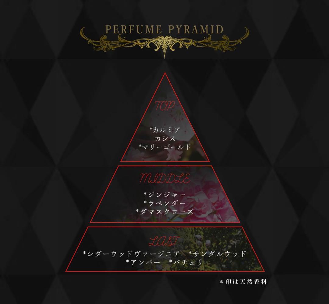 ジョジョの奇妙な冒険 戦闘潮流 ジョナサン ディオ　 オードパルファム 香水2種