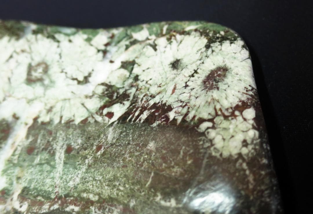 菊花石 　根尾菊花石 緑地に白花　鑑賞石　水石 盆栽