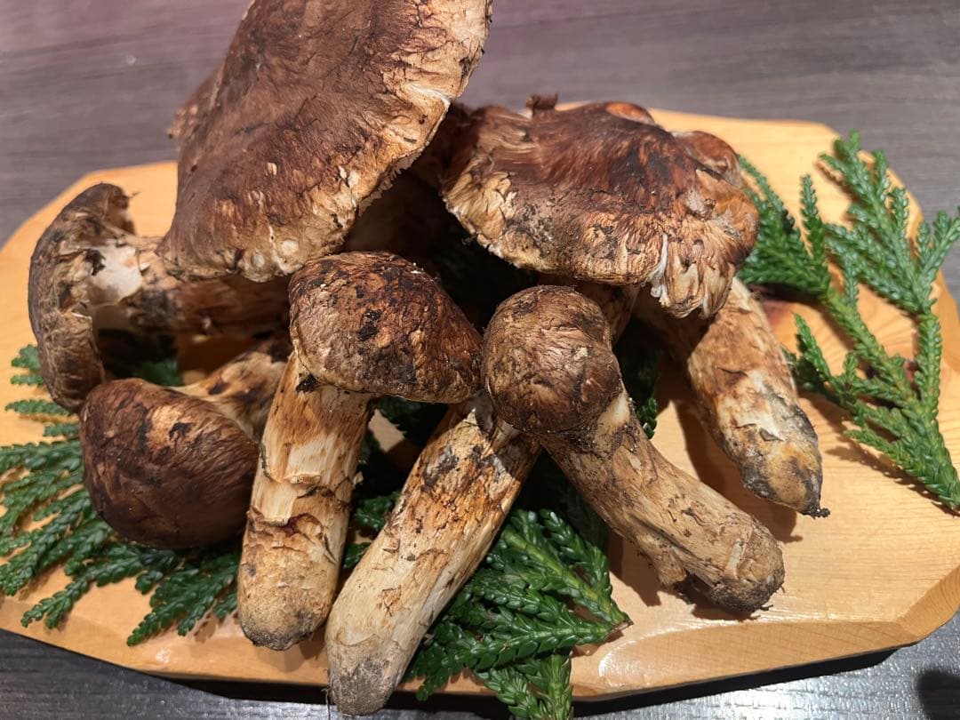 青森県下北産天然松茸280g