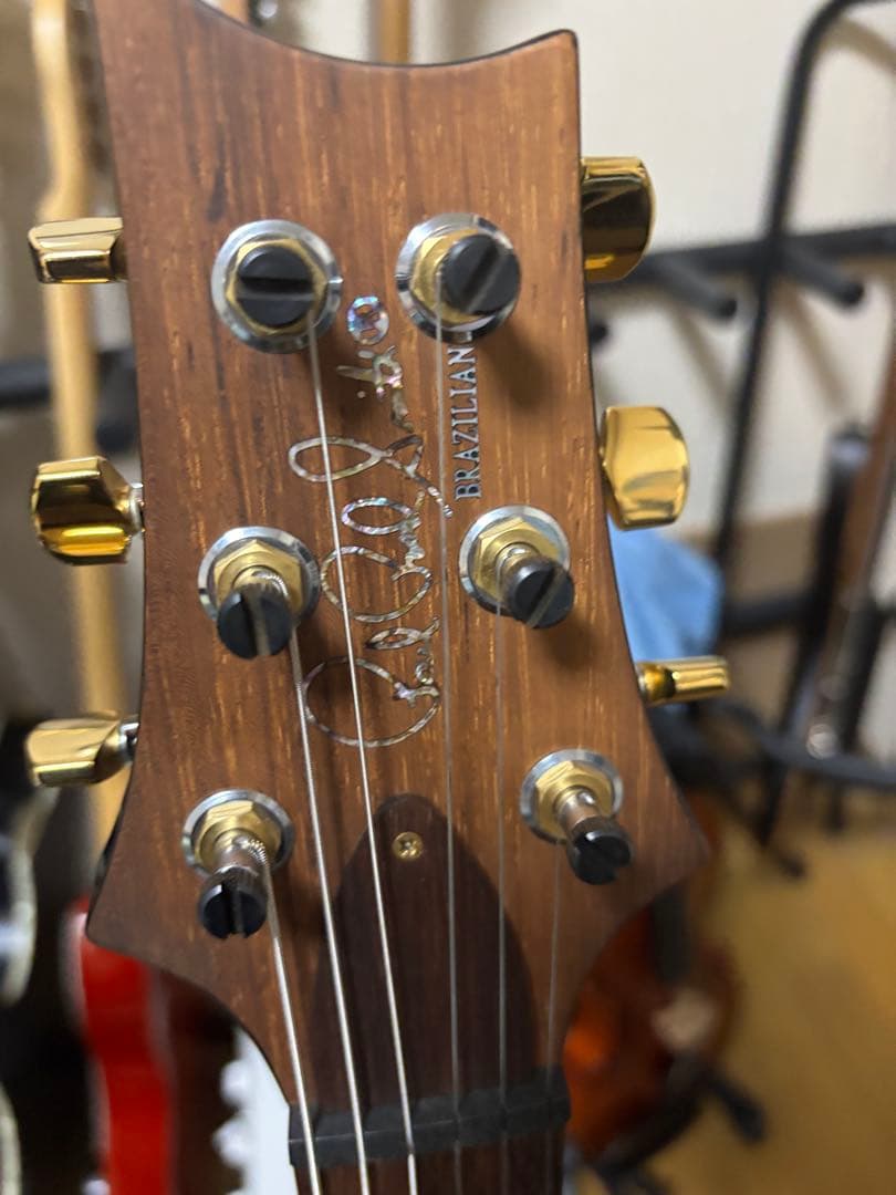 と*も様 PRS Brazilian Limited Custome 24 10