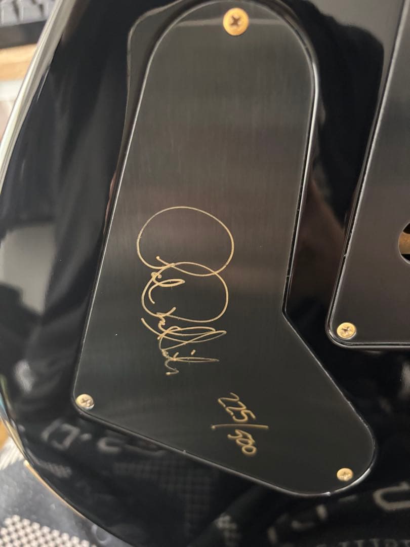 と*も様 PRS Brazilian Limited Custome 24 10