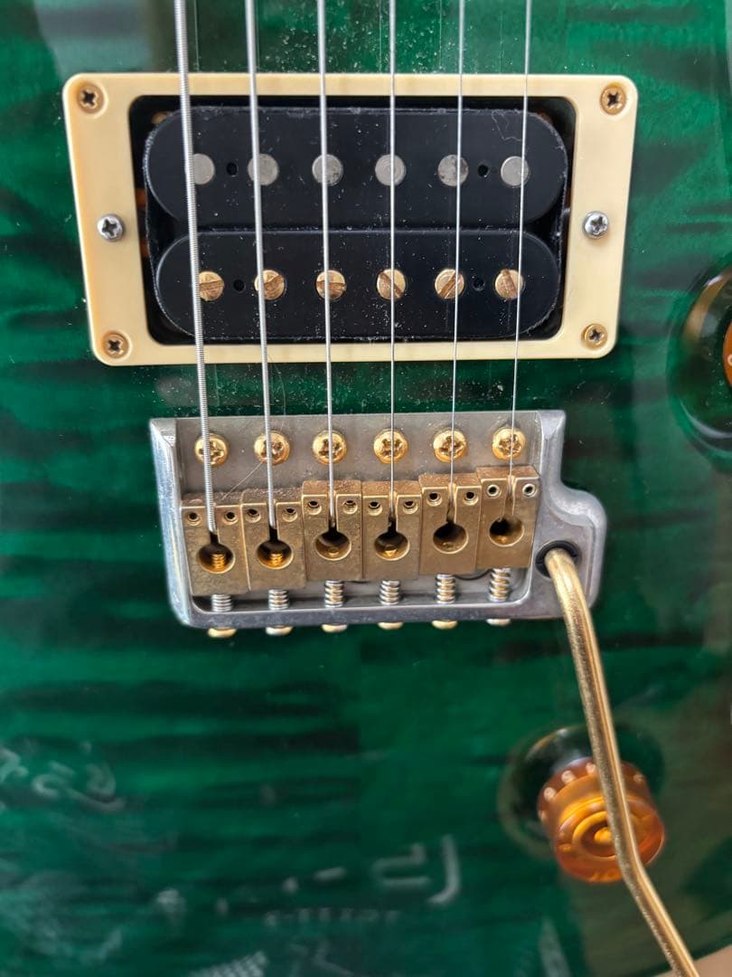 と*も様 PRS Brazilian Limited Custome 24 10