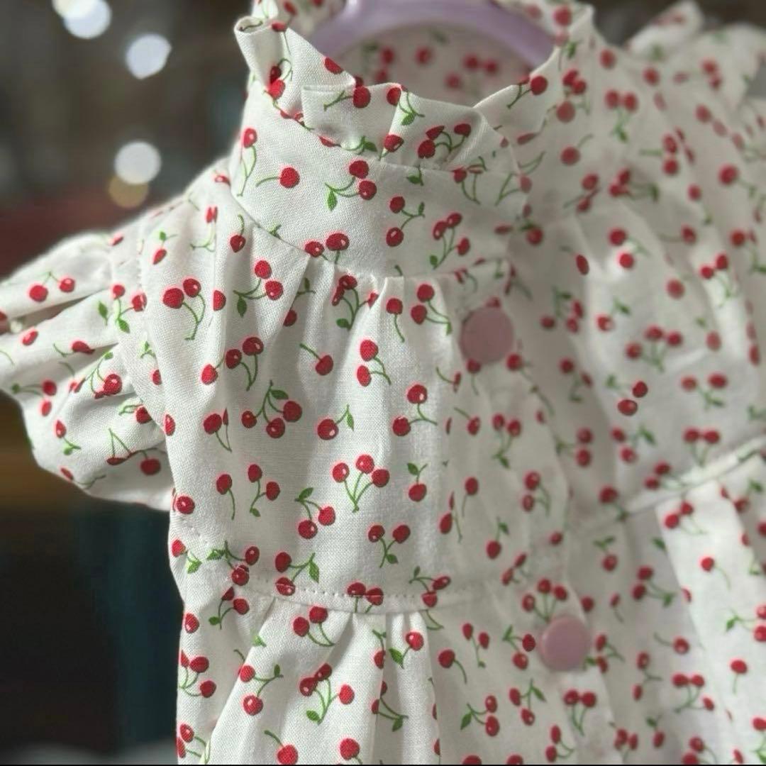 nov1012様の専用ページ　小型犬　犬服