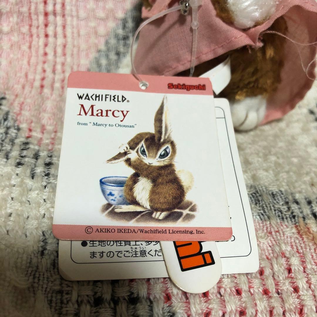 わちふぃーるど　Ansel litan 天使＆セキグチ　Marcy マスコット