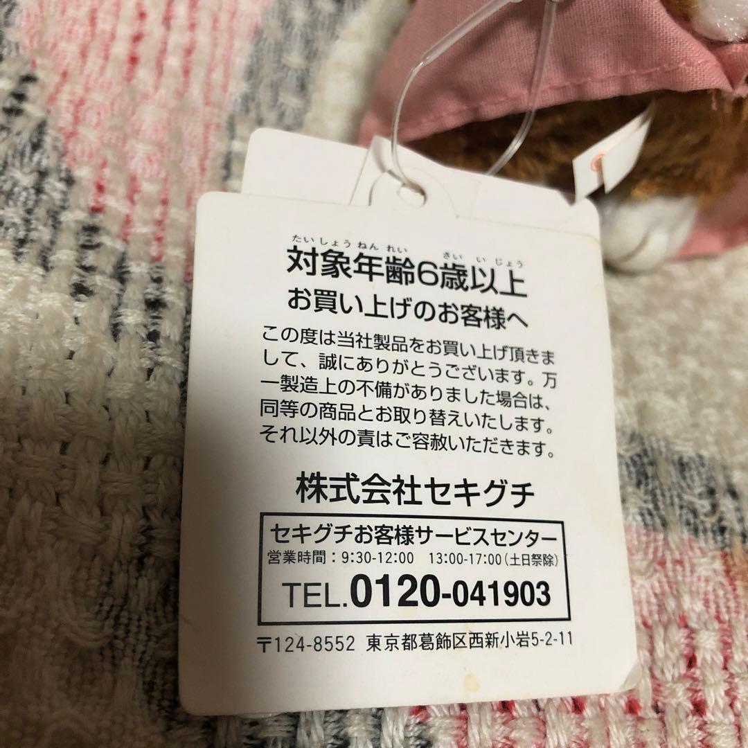 わちふぃーるど　Ansel litan 天使＆セキグチ　Marcy マスコット