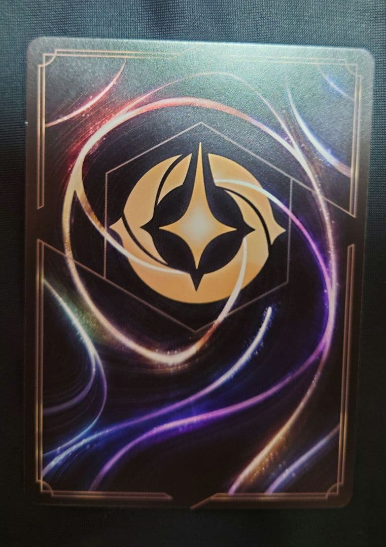 h*n様 ディズニーロルカナ ネコババ エンチャンテッド