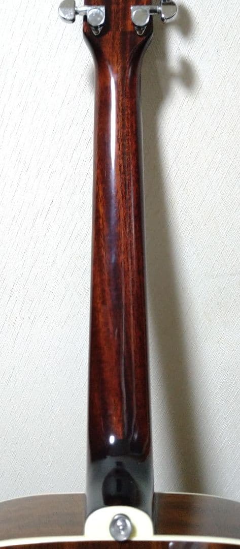 James J-500D サイド・バック トラ杢