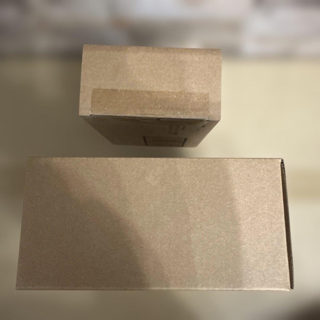 S.H.Figuarts 仮面ライダー　THE NEXT 本郷猛　サイクロン1号