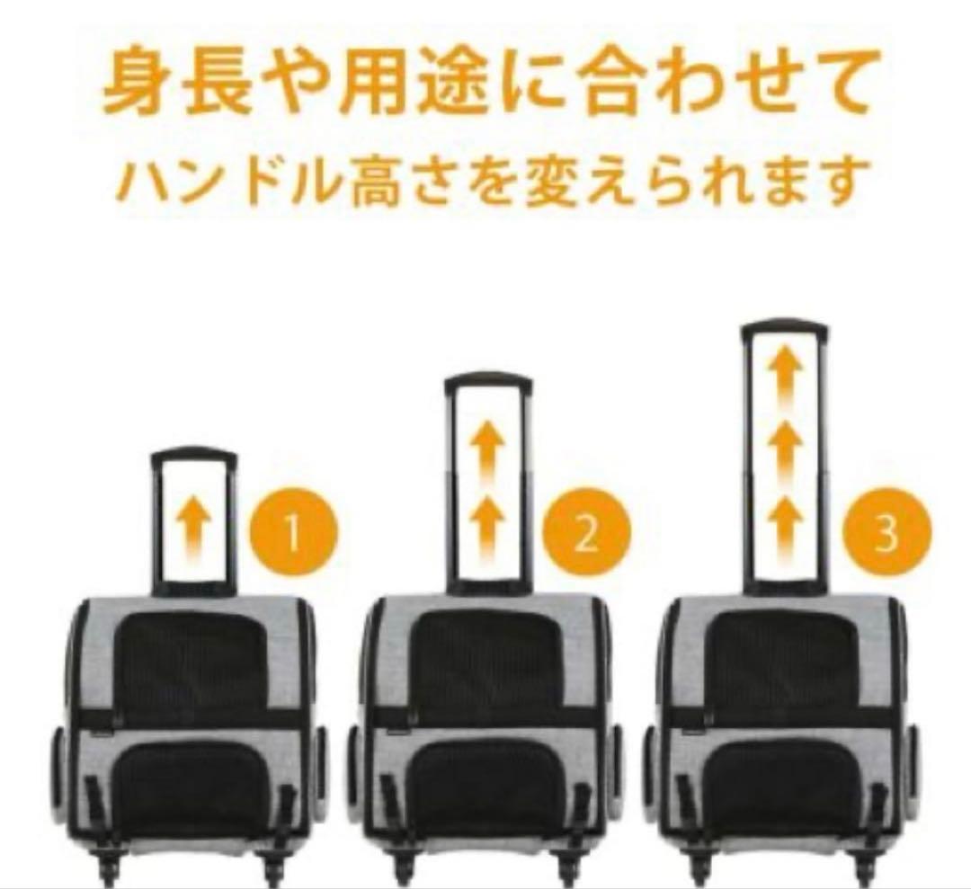 エアバギーフィット