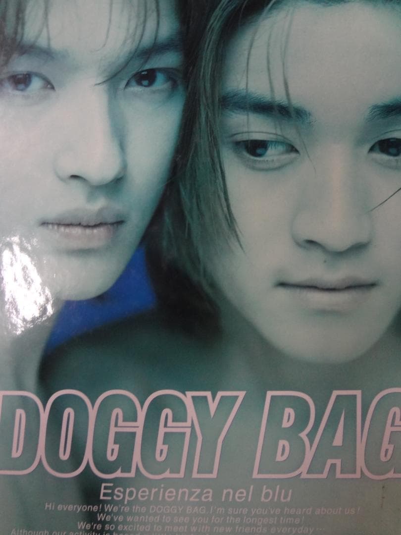 DOGGY BAG 写真集・ツアーパンフレット　 4冊セット