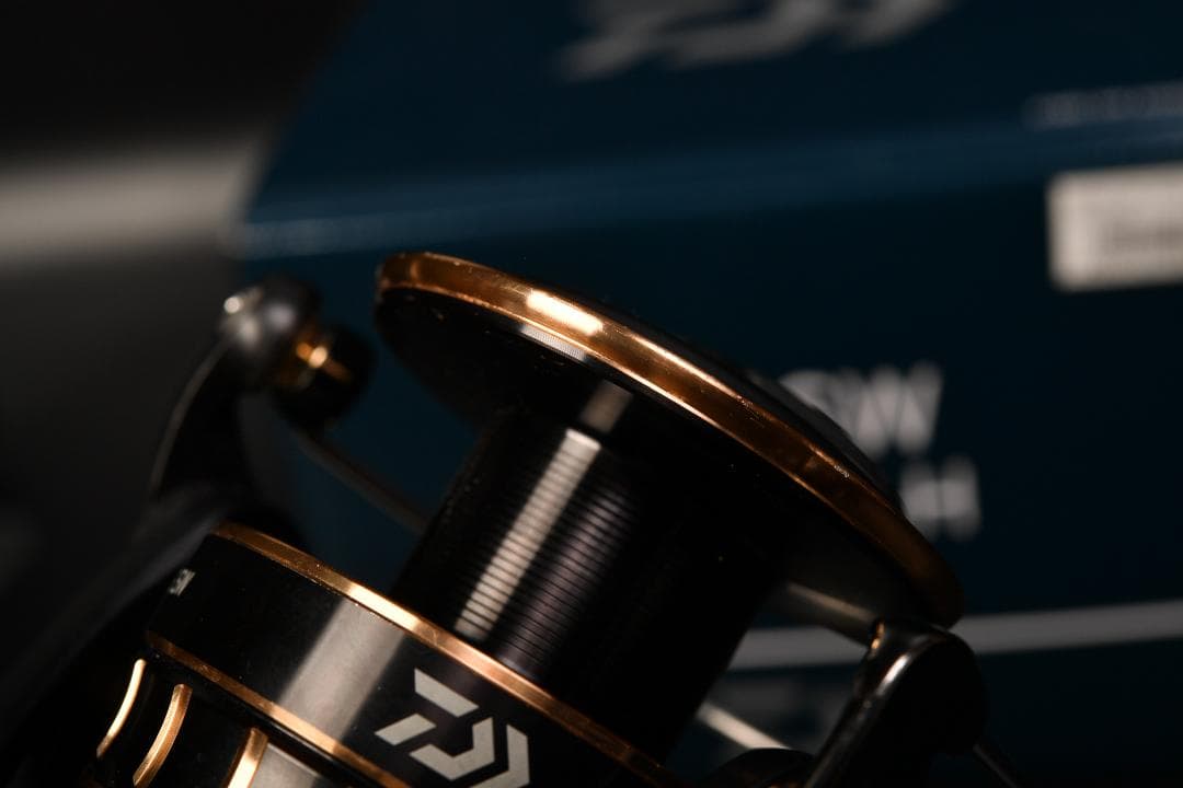 DAIWA 23 BG-SW 6000D-H 海上釣堀のみで使用