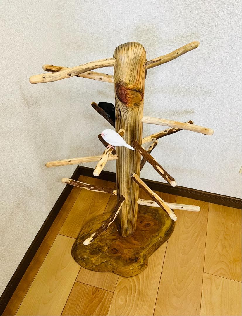 【中型鳥用】螺旋状♪ビビリさんにもすぃすぃ登れるバードスタンド