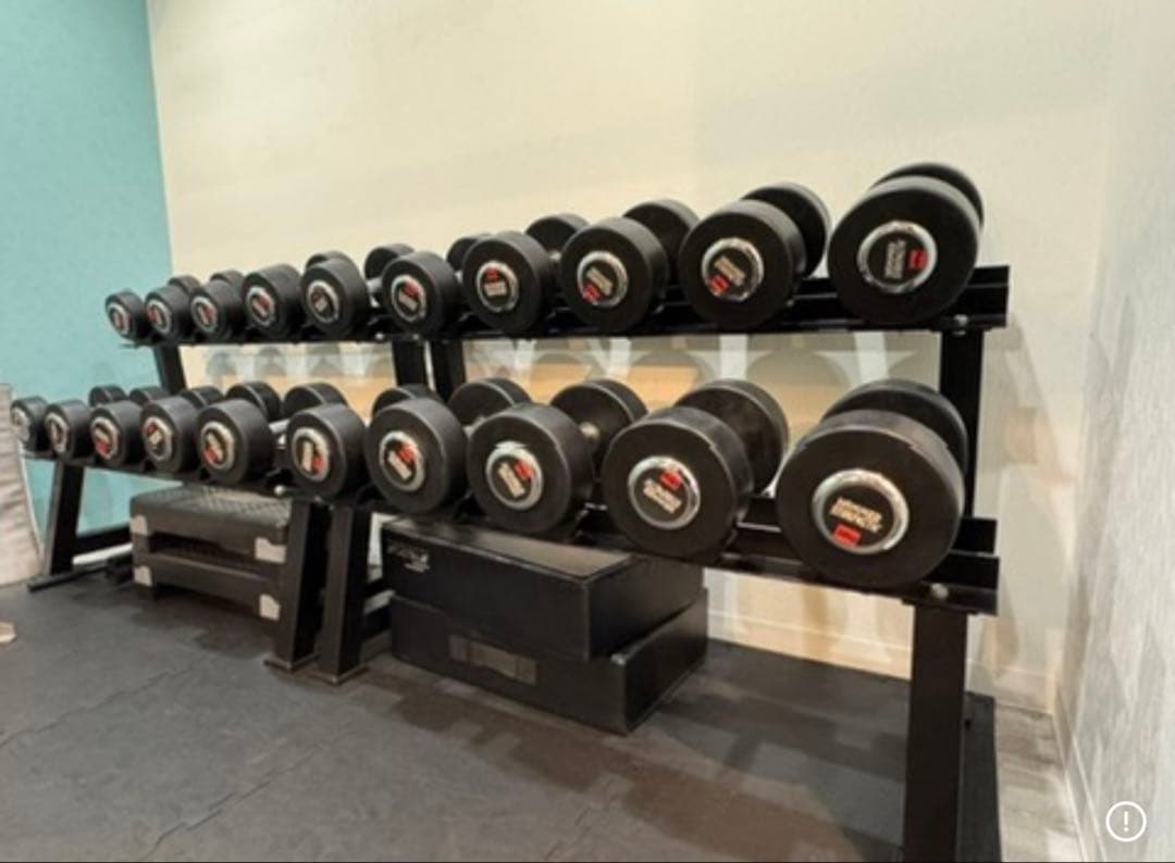 ハンマーストレングス　ダンベル12〜30kg➕ラック➕マットset