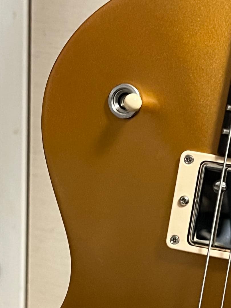 d*o様 即発送 gibson Les Paul tribute 2018 go