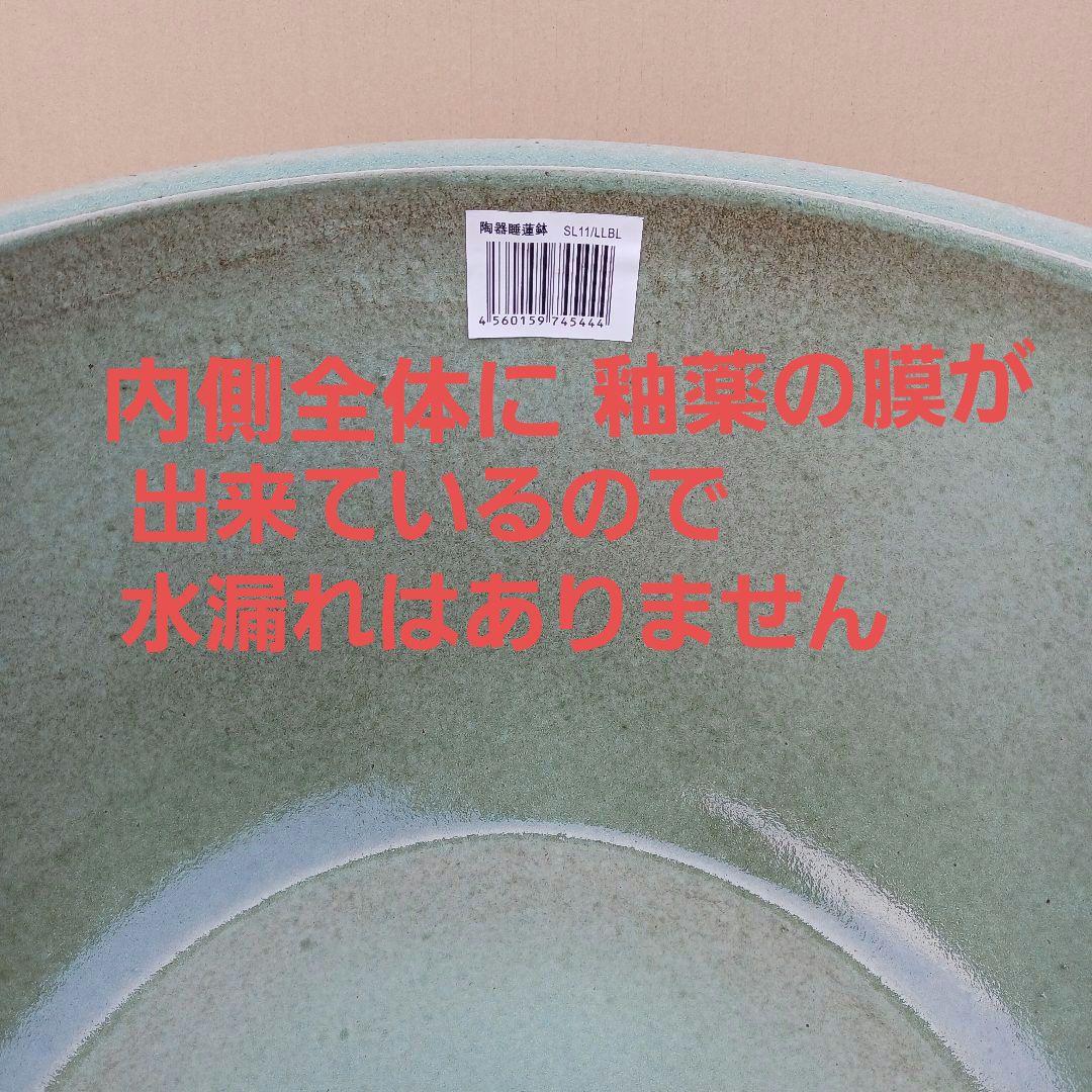新品　特大　∅50　陶器　睡蓮鉢　メダカ鉢　ヒスイグリーン　手造　青＆緑　LLB