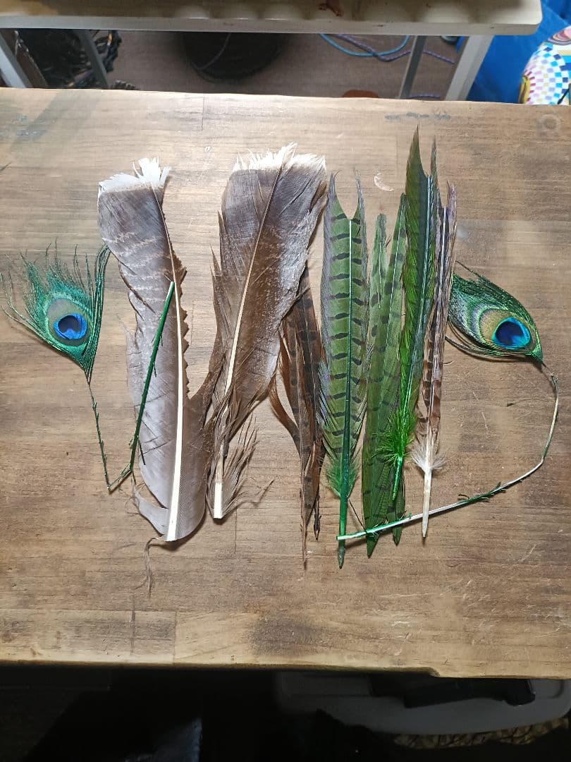 ​【希少】ゴールデンフェザント コンプリート ＆ ORVIS ピーコック セット