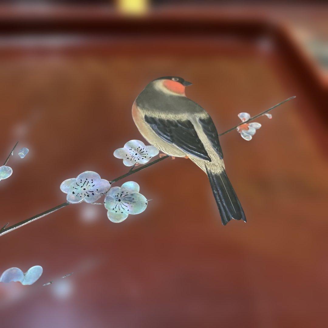 勇助塗　梅貝入に鳥高蒔絵？模様5枚